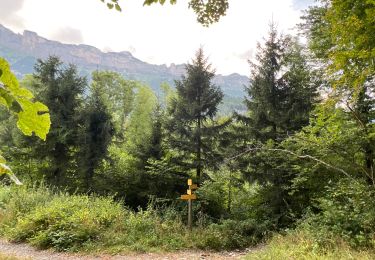 Excursión Senderismo Plateau-des-Petites-Roches - Cascade du Douix - Photo