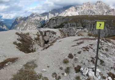 Trail On foot Toblach - Dobbiaco - IT-6 - Photo