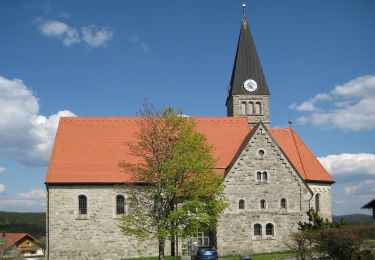 Trail On foot Mauth - Schnecke (Rundweg Finsterau) - Photo