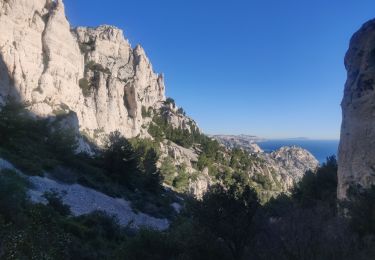 Tocht Stappen Marseille - Rando calanque Morgiou  - Photo