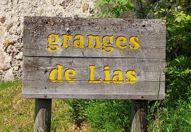 Tour Wandern Vignec - les granges de Lias - Photo