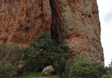 Tour Zu Fuß Saint-Raphaël - Tour du pic du Cap Roux et Ste Baume ( grotte Chapelle ) - Photo