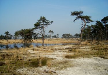 Trail On foot Woensdrecht - Wandelpad Mier - Photo