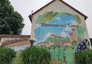 Tour Wandern Montreuil-aux-Lions - Montreuil aux Lions ADR du 17/07/2021 - Photo