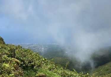 Trail Walking Saint-Claude - Bains jaune - Photo