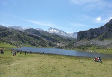 Percorso A piedi Cangas de Onís - Wikiloc Lagos de Cavadonga - Photo