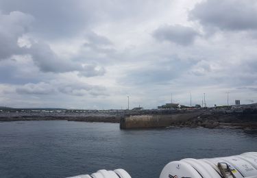 Tour Motorboot  - croisière irlande - Photo