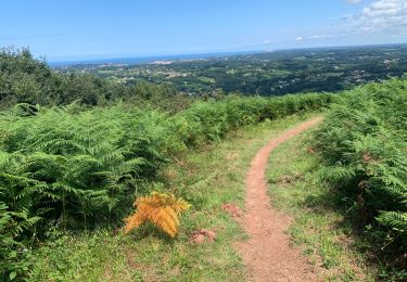 Tour Wandern Hendaye - Gr 10 étape 01 : Hendaye - com d’Ibardin - Olhette - Photo