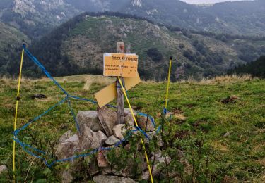 Tour Wandern Prats-de-Mollo-la-Preste - Les thermes- Les cabanes de l'Ouillat- Les thermes.  - Photo