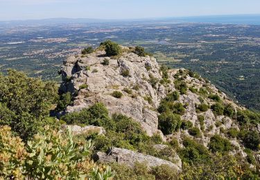 Trail Walking Sorède - SOREDE - Puig de Sant Miquel et Château de l'Utrera - Photo