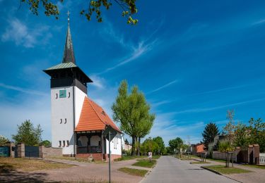 Randonnée A pied Schorfheide - Rundweg Buckowseerinne - Photo