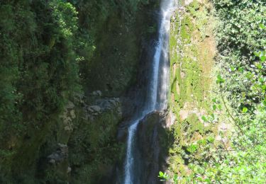 Percorso A piedi Saint-Claude - La Soufrière et le retour par le Col de l'Échelle - Photo