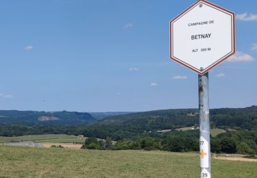 Trail Walking Aywaille - À la découverte de Harzé - Photo