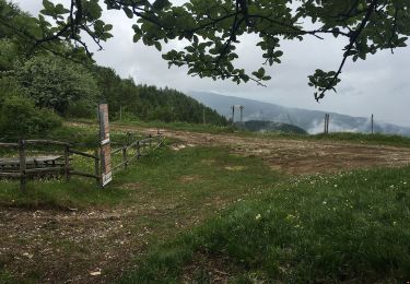 Randonnée A pied Fabbrica Curone - Lunassi – Colle della Seppa - Photo