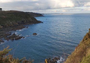 Tocht Stappen Saint-Quay-Portrieux - Tremeveuc retour, faire l'A/R - Photo