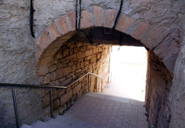 Tour Zu Fuß Montoliu de Segarra - Ruta del Cercavins - Photo