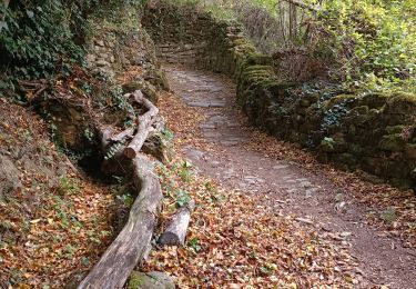 Trail Walking Isaba/Izaba - ermita de Idoia - Photo