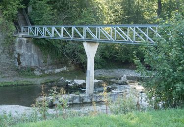 Percorso A piedi Dättlikon - Dättlikon - Freienstein - Photo