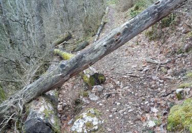 Trail Walking Aurel - 26 aurel col de la grave rimon - Photo