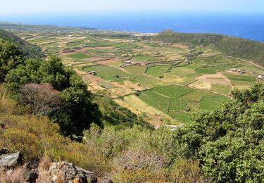 Percorso A piedi Pantelleria - Zighidi - Montagna Grande - Monte Gibéle - Photo