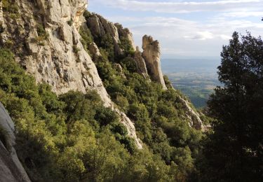 Trail Walking Puyloubier - Pic des Mouches  - Photo