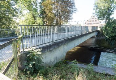 Tocht Te voet Opfikon - Glattbrugg - Schlosswinkel - Photo