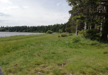 Randonnée Marche Saulzet-le-Froid - pessade Lac Serviere - Photo