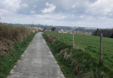 Tour Zu Fuß Sprimont -  Adeps -Sprimont 10km  - Photo