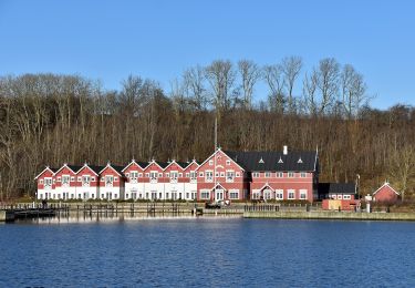 Tocht Te voet  - Rundt om Oldenor - Photo