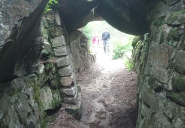 Trail Walking Fontainebleau - les carriers la faisanderie 6 août 2021  - Photo