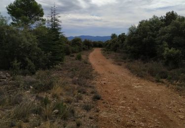 Tocht Stappen Draguignan - le malmont Draguignan - Photo