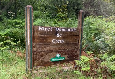 Randonnée V.T.T. Crécy-en-Ponthieu - Petit balade - Forêt Domaniale de Crécy en Ponthieu - Photo