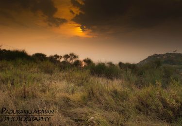 Trail On foot Pesaro - IT-156 - Photo