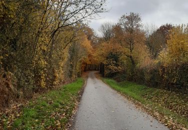 Tour Wandern La Vespière-Friardel - orbec vispière - Photo