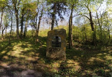 Tour Zu Fuß Leinefelde-Worbis - Duderstadt-Worbis-Duderstadt - Photo