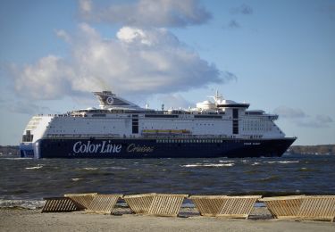 Randonnée A pied Laboe - Dünenlandschaft - Photo