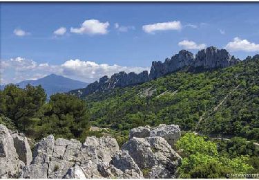 Trail Walking Gigondas - 2022-01-29_11h01m55_Dentelles de Montmirail 13 km.gpx.xml - Photo