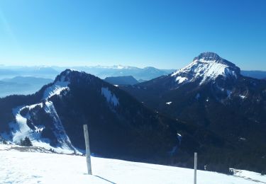 Tocht Sneeuwschoenen Plateau-des-Petites-Roches - Pravouta en circuit partiel - Photo