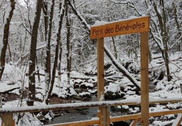 Excursión Senderismo Jalhay - A la découverte de Solwaster  - Photo