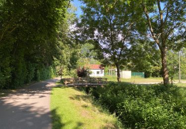 Trail Walking Wemmel - Wemmel Beverbos 6 km - Photo