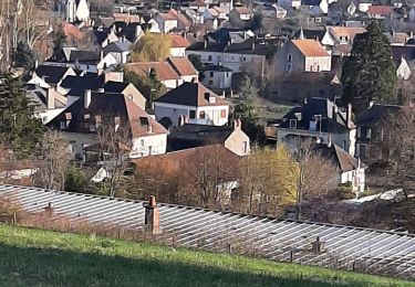 Trail Walking Neuvy-sur-Loire - neuvy dur loire - Photo