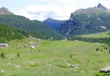 Percorso A piedi Varzo - F50 Alpe Veglia Rif. CAI Città di Arona - Ciamporino - Photo