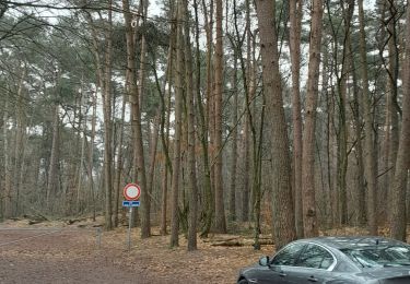 Tocht Noords wandelen Belœil - Stambruges Mmielikki - Photo