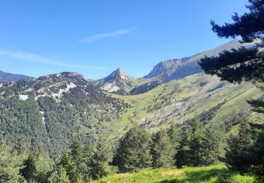 Tour Wandern Glandage -  Le Joucou par Crête des Amousières Grimone12km - Photo