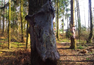 Percorso A piedi  - Ścieżka edukacyjna - Photo