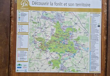 Trail Walking Noisy-sur-École - Noisy-sur-Ecole - Abris ornés et cavités diverses - Photo