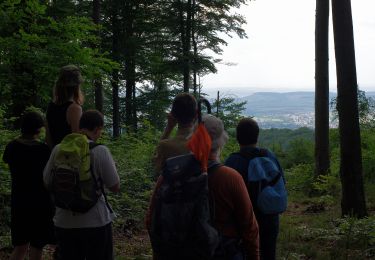 Randonnée A pied Löwenstein - WT6 Natur pur rund um Wüstenrot - Photo