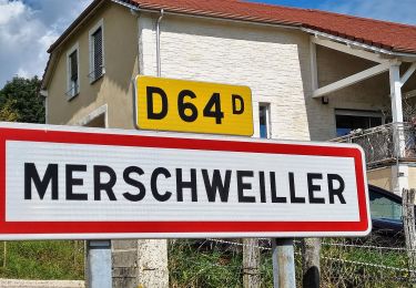 Excursión A pie Merschweiller - Circuit Apach-Waldwisse - Photo