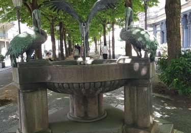 Randonnée Marche  - Baden Baden - châteaux Hohenbaden et Eberstein - coliine Merkurberg - Photo