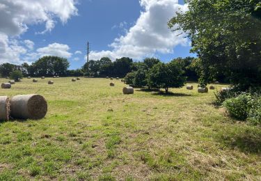 Tocht Stappen Guipavas - Boucle du Costour - Photo